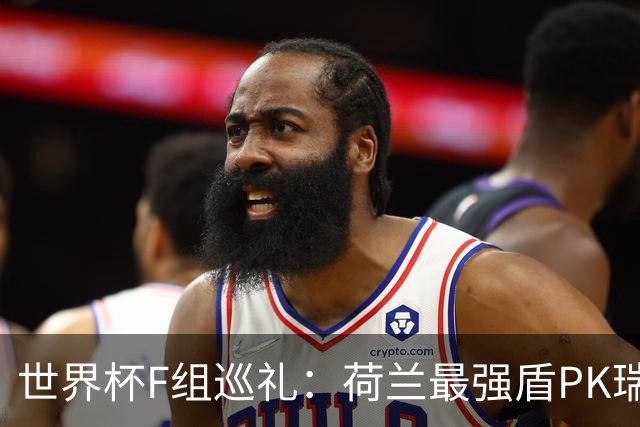 世界杯F组巡礼：荷兰最强盾PK瑞典犀利刀 日本短板明显