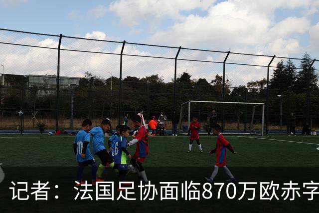 记者：法国足协面临870万欧赤字，却花1200万订世界杯下榻酒店